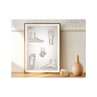 Plakat refleksologii
