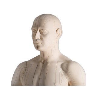 Model do akupunktury 70 cm do użytku profesjonalnego