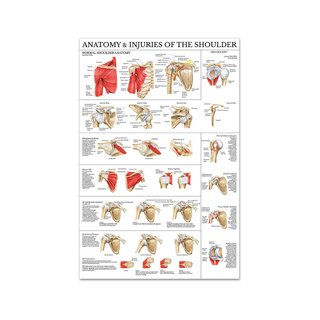 Plakat na ramię i łokieć z folii PET o wysokim połysku, o wymiarach 51x66 cm