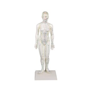 Chińska figura akupunktury, kobieta