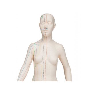 Model do akupunktury 70 cm - Kobieta